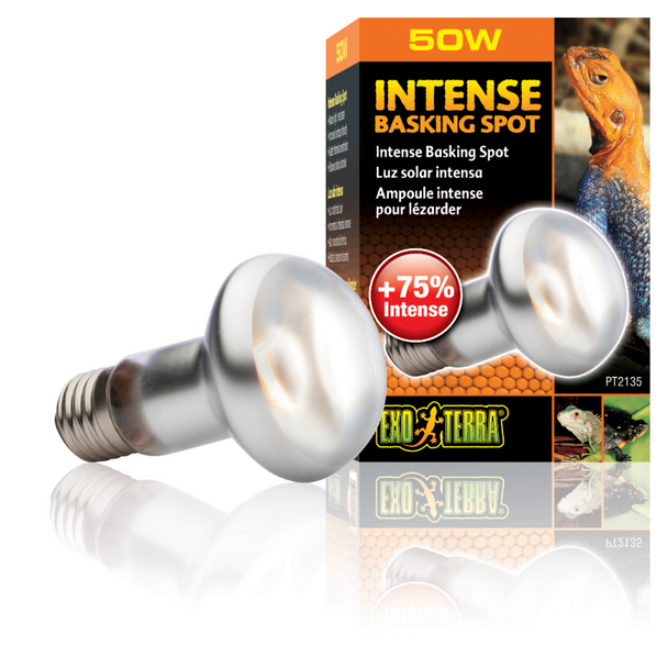 Exo Terra Intense Repti Basking Spot Lamp - 50 Watt (PT2135)