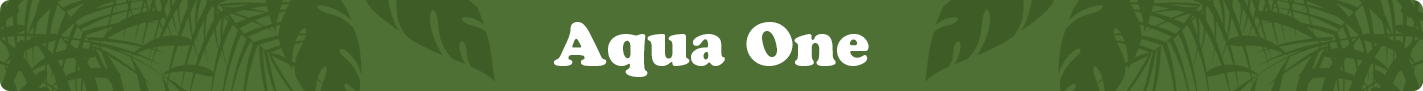 aqua-one.png