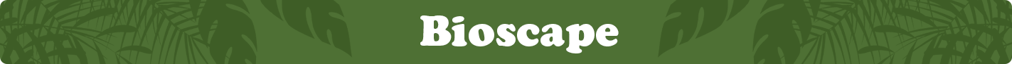 bioscape.png