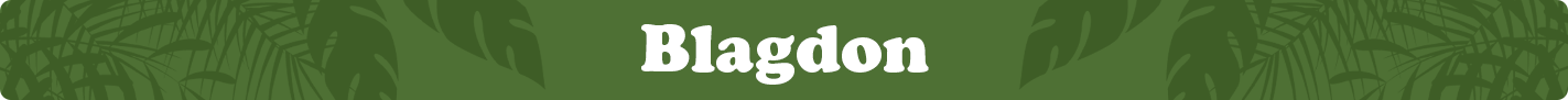 blagdon.png