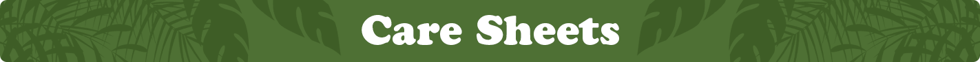 care-sheets.png