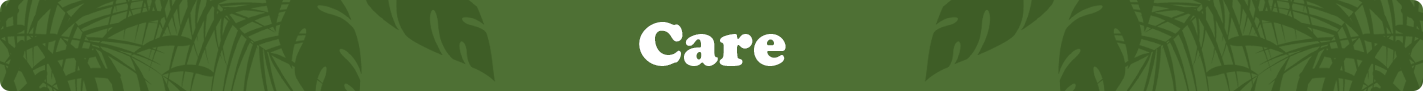 care.png