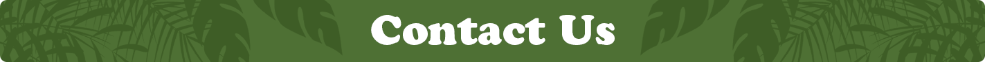 contact-us.png