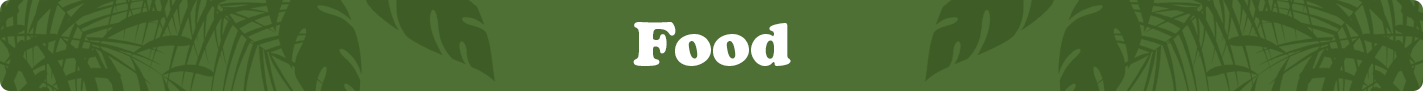 food.png