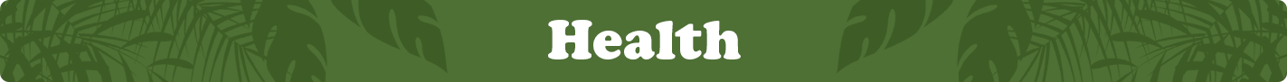 healthcategoryimage.png