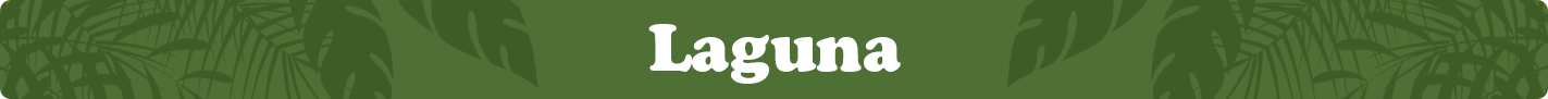 laguna.png