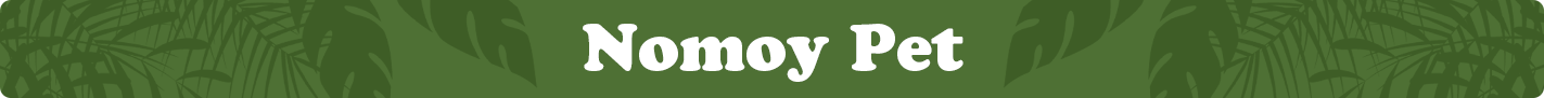 nomoy-pet.png