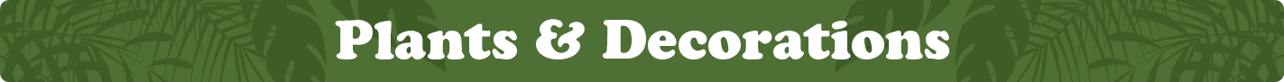 plants-and-deco.png