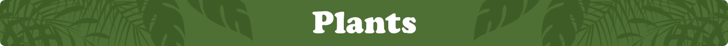 plants-banner.png