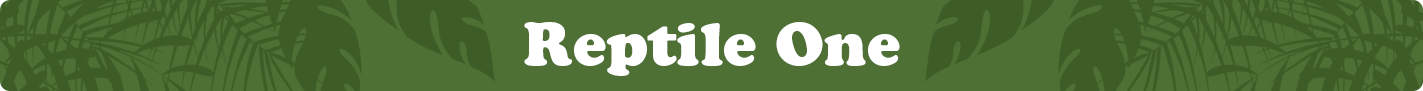 reptile-one.png