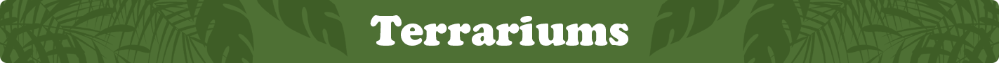 terrarriumscategoryimage.png