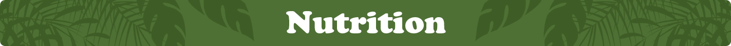 turtle-nutrition.png