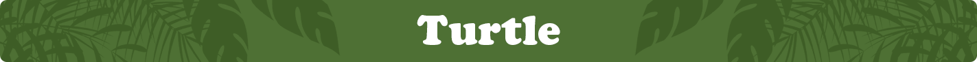 turtlecategoryimage.png