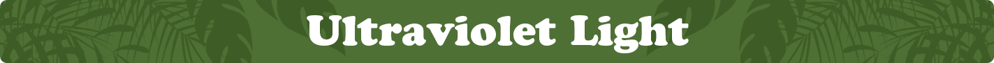 ultravolet-banner.png