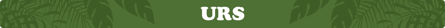 urs.png