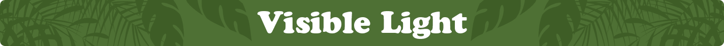 visible-light.png