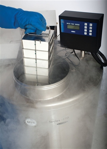 MVE 819 P-190 AF-GB High Efficiency Vapor Series Automatic Fill