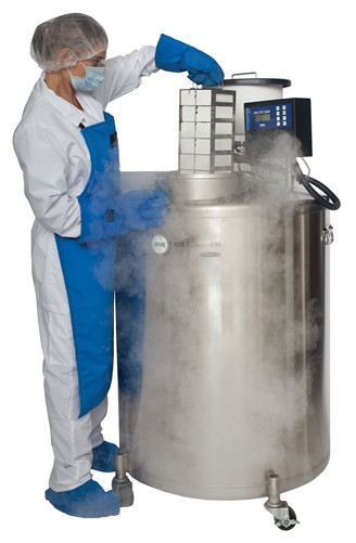 MVE 816P-2T-190AF-GB Stock Series Automatic Fill Liquid Nitrogen
