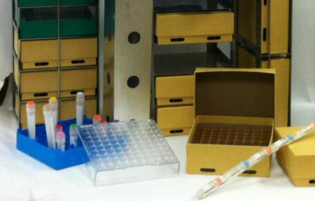 Freezer Inventory Racks