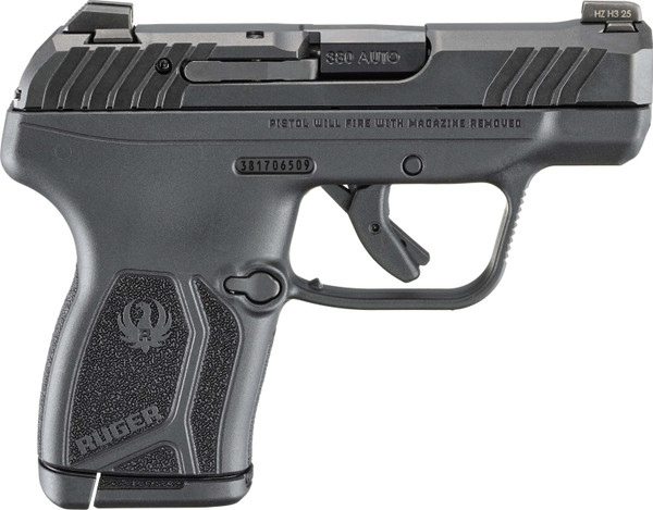 Ruger LCP MAX 380 PST B MS 10R
