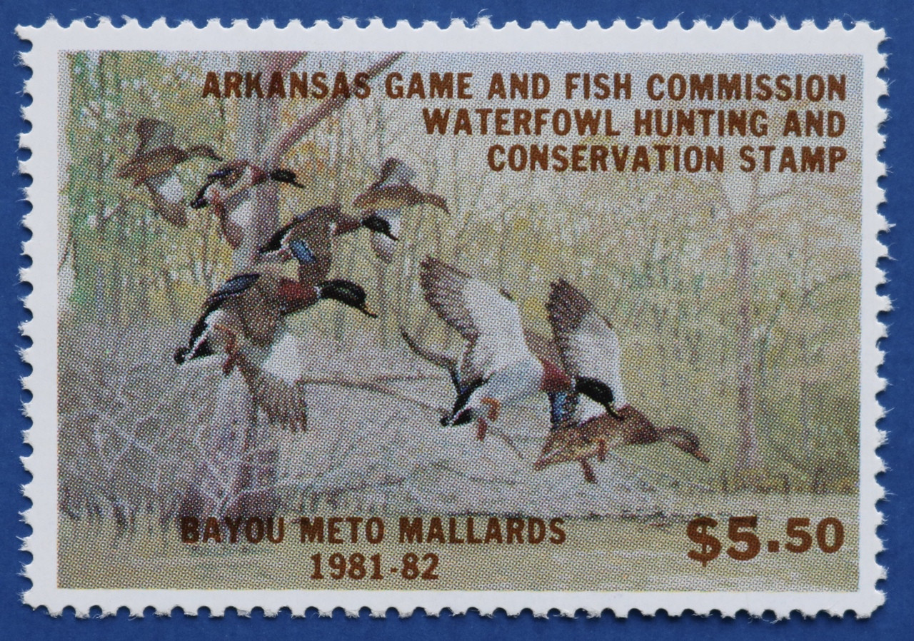 U.S. (AR01h) 1981 Arkansas Waterfowl Hunting & Conservation Stamp (hunter type) Great Lakes