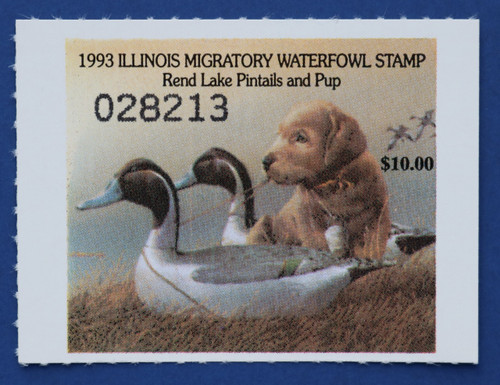 1993 Illinois State Duck Stamp (IL19)
