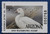 1999 Arizona State Duck Stamp (AZ13)