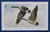 1975 Iowa State Duck Stamp (IA04)