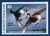 1996 Minnesota Migratory Waterfowl Stamp (MN20)