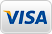 We Accept Visa Payments