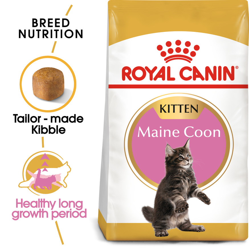 Maine Coon Kitten Dry Food