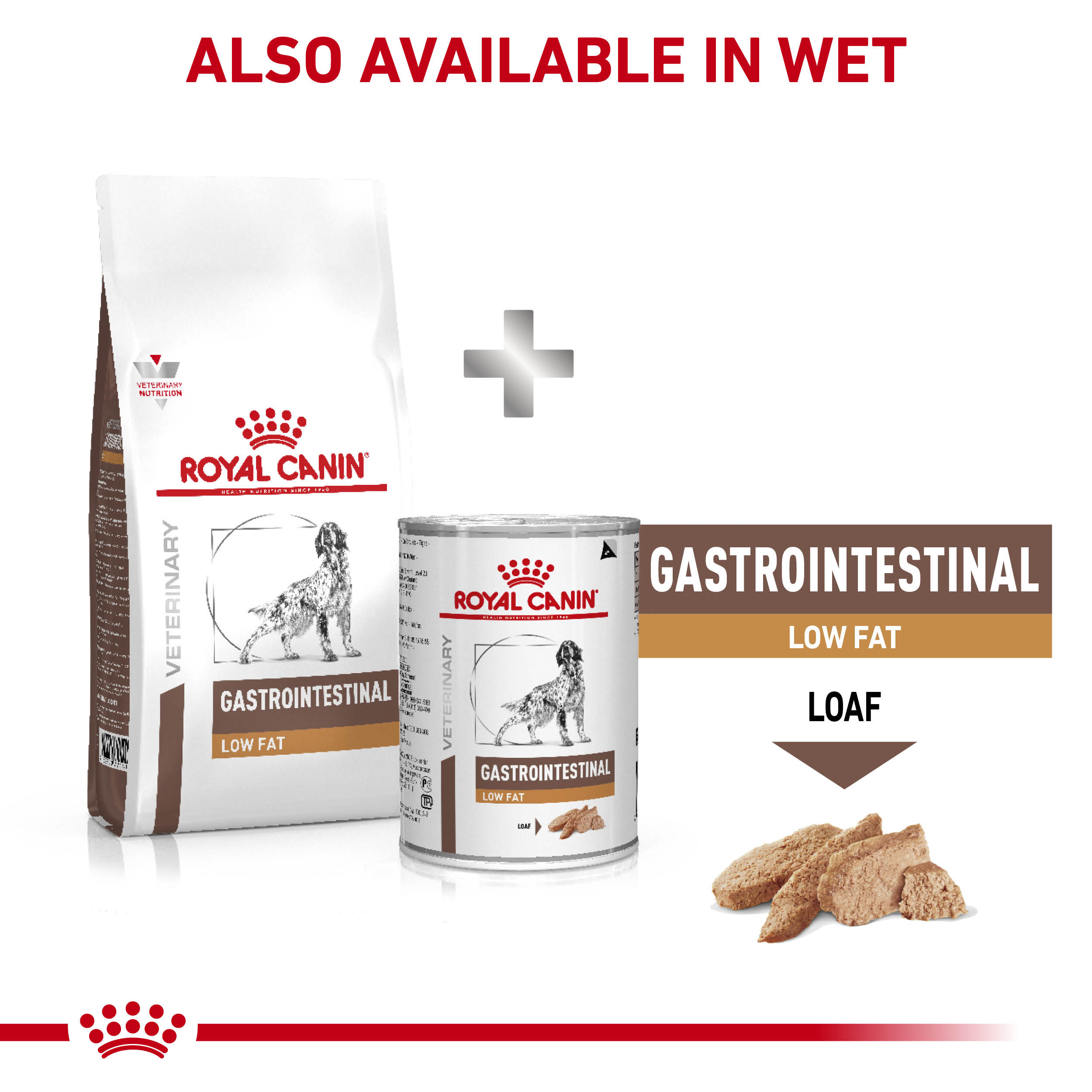 Veterinary Diets Gastrointestinal Low Fat Dry Dog Food FirstVet