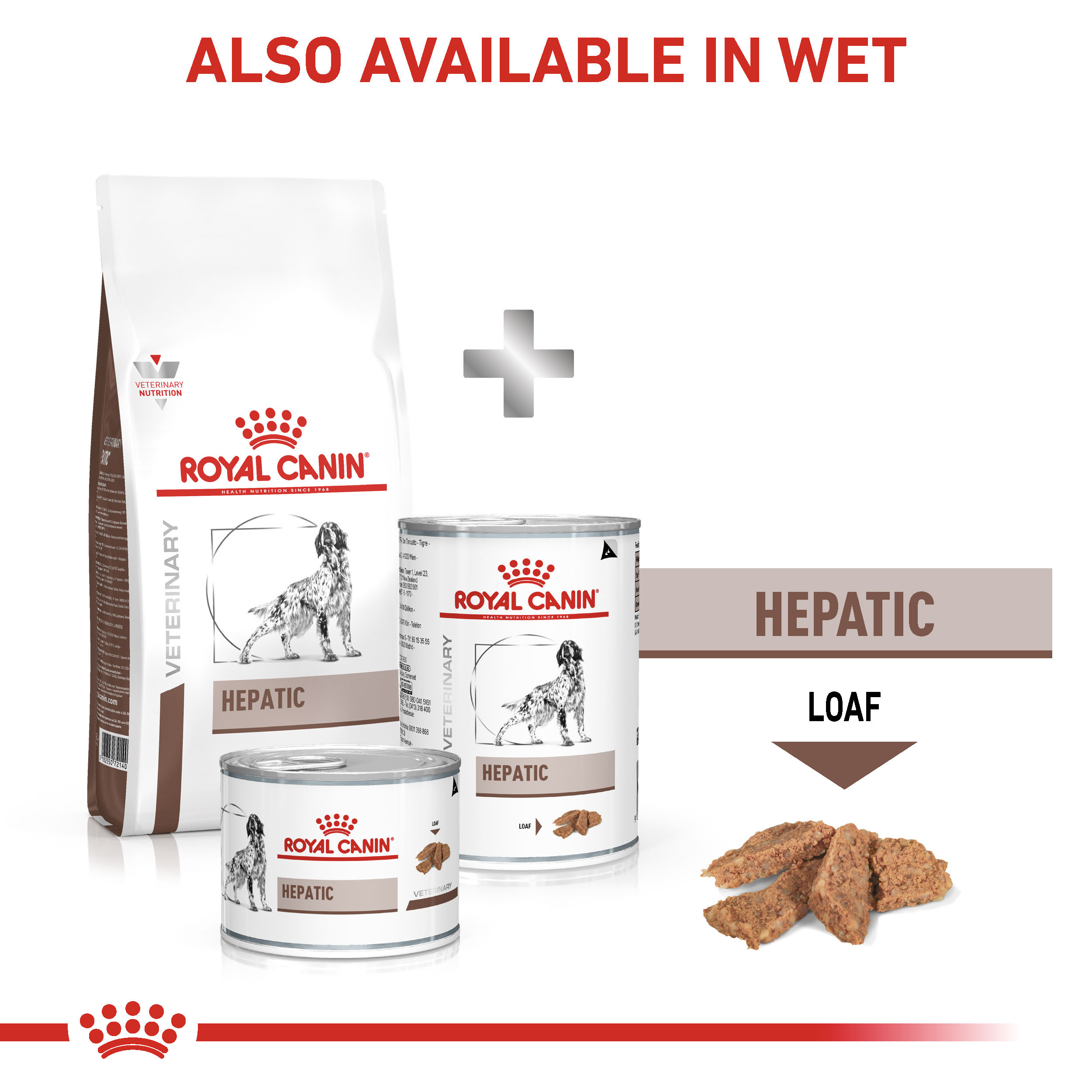 Veterinary Diets Hepatic Dry Dog Food FirstVet