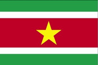 Suriname 3X5' Solar-Max Dyed Nylon Outdoor Flag