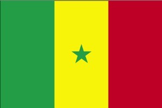 Senegal 2X3' Solar-Max Dyed Nylon Outdoor Flag