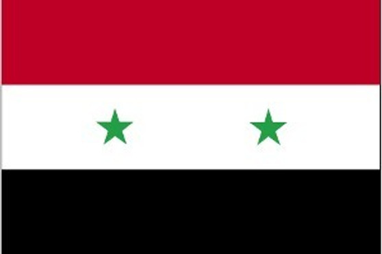 Syria 3X5' Solar-Max Dyed Nylon Outdoor Flag