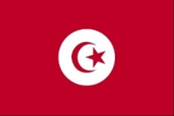 Tunisia 2X3' Solar-Max Dyed Nylon Outdoor Flag