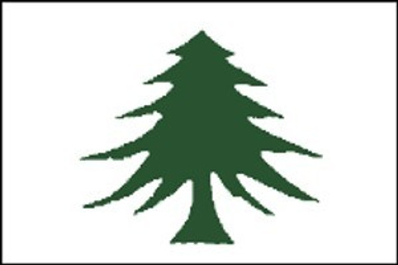 Pine Tree 3X5' Light Weight Polyester Flag