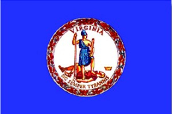 Virginia 12 x 18in Solar-MaxDyed Nylon Outdoor Flag