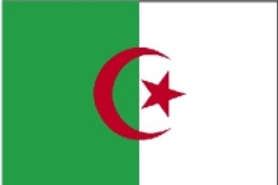 Algeria 2X3' Solar-Max Dyed Nylon Outdoor Flag-1676961547
