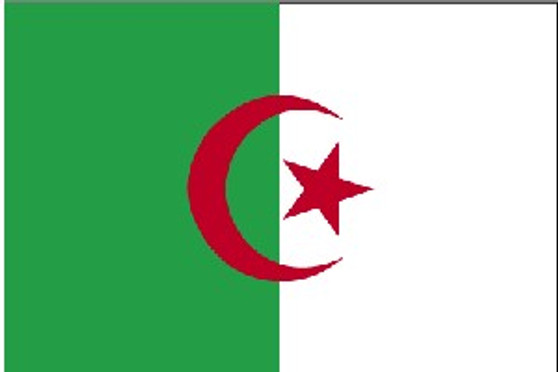 Algeria 3X5' Solar-Max Dyed Nylon Outdoor Flag-1676961549