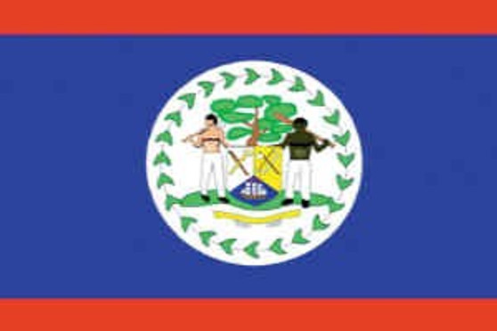 Belize 3X5' Solar-Max Dyed Nylon Outdoor Flag