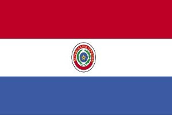 Paraguay 3X5' Solar-Max Dyed Nylon Outdoor Flag