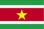 Suriname 2X3' Solar-Max Dyed Nylon Outdoor Flag