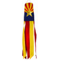 Arizona 18" windsock-1676964849