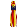 Arizona 18" windsock