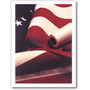 US 3 X 5' Annin 2-Ply Polyester Outdoor Flag