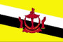 Brunei 3X5' Solar-Max Dyed Nylon Outdoor Flag