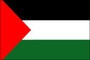 Palestine 2X3' Solar-Max Dyed Nylon Outdoor Flag