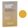 Alfaparf Invisible Root Touch Up Powder - Light Blonde